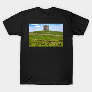 Deer in front of the hunting lodge at Lyme Park National trust in the UK T-Shirt